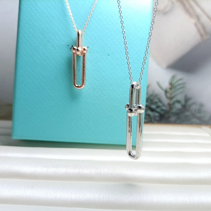 [Lumi Jewelry]HARDWEAR DROP DOUBLE LINK PEDANT NECKLACE