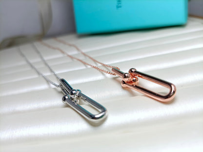 [Lumi Jewelry]HARDWEAR DROP DOUBLE LINK PEDANT NECKLACE