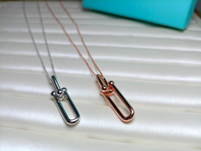 [Lumi Jewelry]HARDWEAR DROP DOUBLE LINK PEDANT NECKLACE