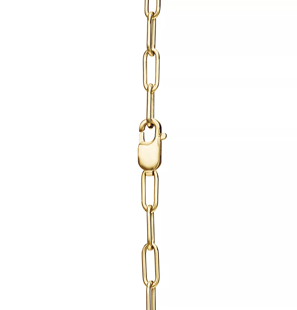[Lumi Jewelry]LOCK NECKLACE GOLD