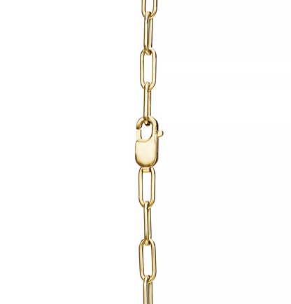 [Lumi Jewelry]LOCK NECKLACE GOLD