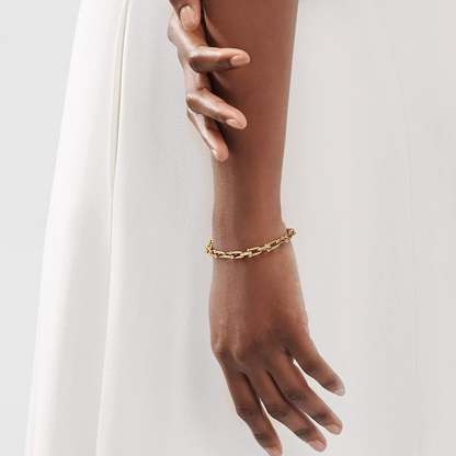 [Lumi Jewelry]HARDWEAR SMALL LINK 26 MOTIF GOLD BRACELET